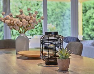 Groene omgeving met vakantiehuizen bij Villa Christina in Stevensweert, Limburg.