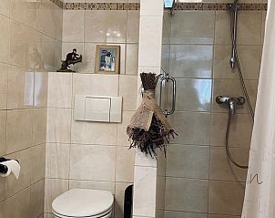 Badkamer met douche en toilet in Vakantiehuis in Leveroy, Midden Limburg.