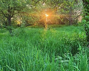 Guest house 370703 - Holiday property Midden Limburg - Vakantiehuisje in Weert