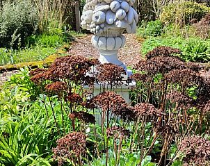 Guest house 370703 - Holiday property Midden Limburg - Vakantiehuisje in Weert