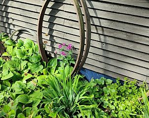 Guest house 370703 - Holiday property Midden Limburg - Vakantiehuisje in Weert