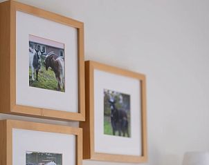 Unterkunft 370705 - Ferienhaus Midden Limburg - Huisje in Weert