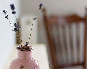 Unterkunft 370705 - Ferienhaus Midden Limburg - Huisje in Weert