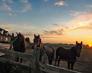Unterkunft 370905 - Ferienhaus Midden Limburg - L221
