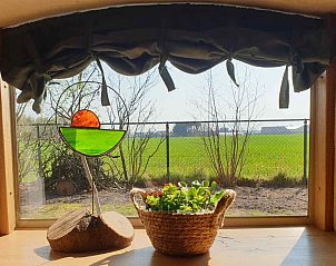 Rustieke voordeur van vakantiehuis L241 in Nederweert, Limburg met bloeiende planten.