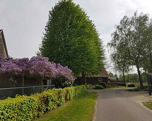 Comfortabele slaapkamer met houten accenten in vakantiehuis L241 in Nederweert, Limburg.