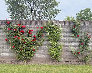 Guest house 371306 - Holiday property Midden Limburg - Laurahoeve