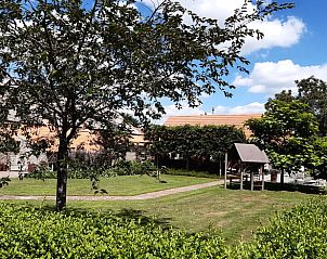 Groene tuin bij Vakantiehuisje in Nederweert, Midden Limburg. Rust en natuur omringen deze vakantiewoning in Limburg.