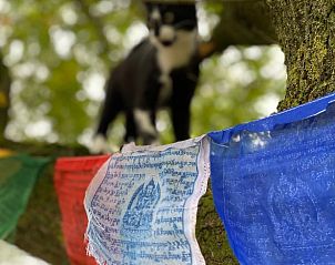 Guest house 371503 - Holiday property Midden Limburg - Vakantiehuis in Koningsbosch