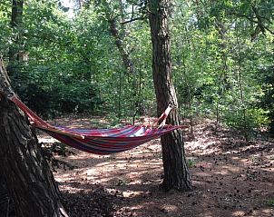 Guest house 371503 - Holiday property Midden Limburg - Vakantiehuis in Koningsbosch