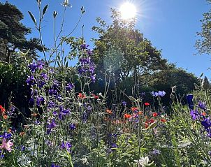 Guest house 371503 - Holiday property Midden Limburg - Vakantiehuis in Koningsbosch