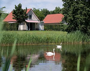 Unterkunft 372210 - Ferienhaus Midden Limburg - Venwoning | 2-6 Pers