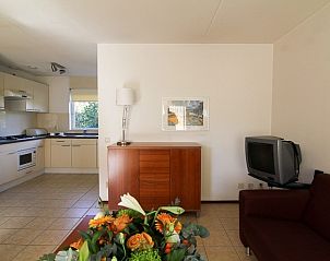 Unterkunft 372213 - Ferienhaus Midden Limburg - Boswoning | 2-6 Pers