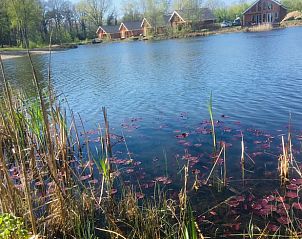 Unterkunft 372216 - Ferienhaus Midden Limburg - Huisje in Heel