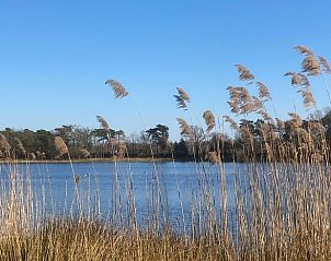 Verblijf 372222 - Vakantiewoning Midden Limburg - Vakantiehuisje in Heel