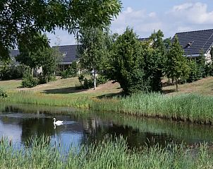 Verblijf 372226 - Vakantiewoning Midden Limburg - Tuinvilla | 2-6 personen