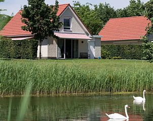 Guest house 372229 - Holiday property Midden Limburg - Venwoning | 2-6 persoons