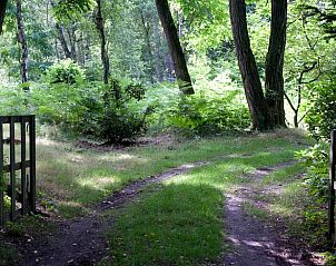 Unterkunft 372302 - Ferienhaus Midden Limburg - Vakantiehuis in Vlodrop