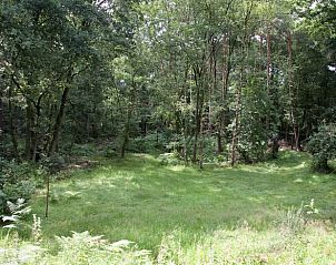 Unterkunft 372302 - Ferienhaus Midden Limburg - Vakantiehuis in Vlodrop