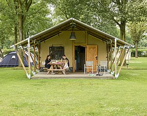 Verblijf 372414 • Tenthuis Midden Limburg • Safari Tent 