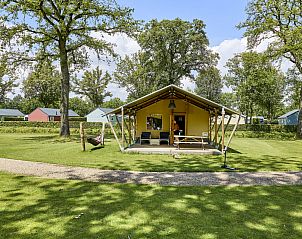 Verblijf 372417 • Tenthuis Midden Limburg • Glamping Tent Luxe 