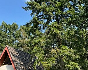 Unterkunft 372608 - Ferienhaus Midden Limburg - Vakantiehuisje in Stramproy