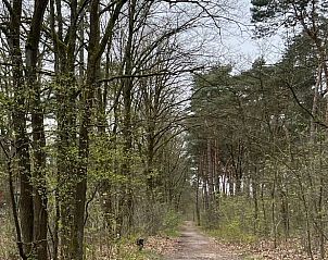 Unterkunft 372608 - Ferienhaus Midden Limburg - Vakantiehuisje in Stramproy