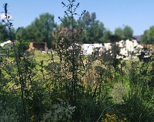 Unterkunft 372611 - Ferienhaus Midden Limburg - Vakantiehuis in Stramproy