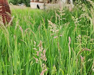 Unterkunft 372611 - Ferienhaus Midden Limburg - Vakantiehuis in Stramproy
