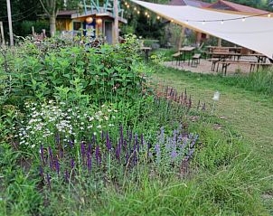 Unterkunft 372611 - Ferienhaus Midden Limburg - Vakantiehuis in Stramproy
