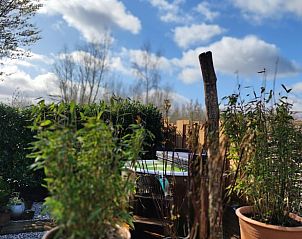 Unterkunft 372612 - Ferienhaus Midden Limburg - Vakantiehuis in Stramproy