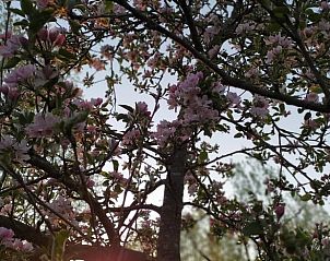 Unterkunft 372612 - Ferienhaus Midden Limburg - Vakantiehuis in Stramproy