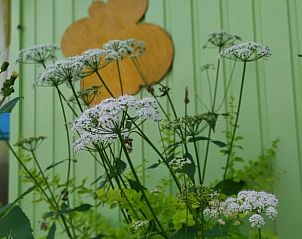 Unterkunft 372612 - Ferienhaus Midden Limburg - Vakantiehuis in Stramproy