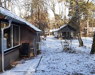 Unterkunft 372613 - Ferienhaus Midden Limburg - Vakantiehuis in Stramproy