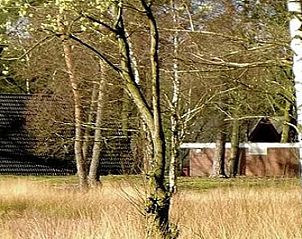 Unterkunft 372613 - Ferienhaus Midden Limburg - Vakantiehuis in Stramproy