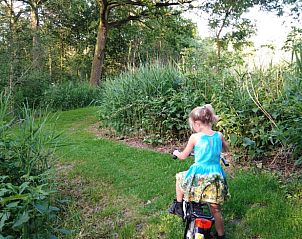 Unterkunft 372615 - Ferienhaus Midden Limburg - Huisje in Stramproy