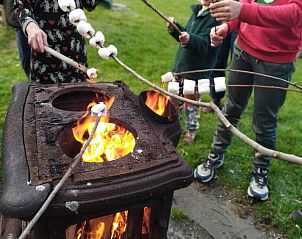Unterkunft 372615 - Ferienhaus Midden Limburg - Huisje in Stramproy