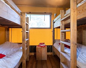 Unterkunft 372618 - Zelthaus Midden Limburg - Farmtent