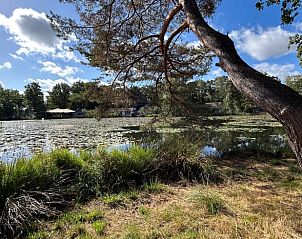 Unterkunft 372622 - Ferienhaus Midden Limburg - Vakantiehuis in Stramproy