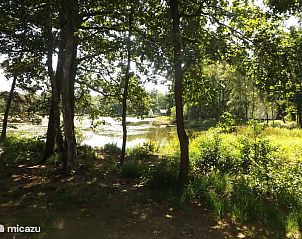 Verblijf 372623 - Vakantiewoning Midden Limburg - Vosseven 32 Geelgors
