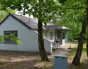Verblijf 372629 - Vakantiewoning Midden Limburg - Vosseven 8 Wilg