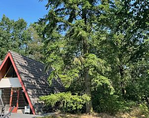 Unterkunft 372631 - Ferienhaus Midden Limburg - Boszicht