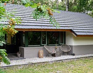 Guest house 372634 - Bungalow Midden Limburg - Boshuisje het Vosje
