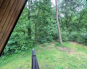 Unterkunft 372636 - Ferienhaus Midden Limburg - Vosseven 87 Muurbloem