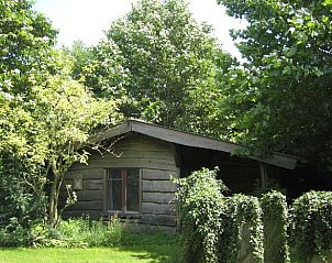 Huisje in Leudal, een charmant vakantiehuis in Midden Limburg, omringd door weelderige natuur en rustieke bossen.
