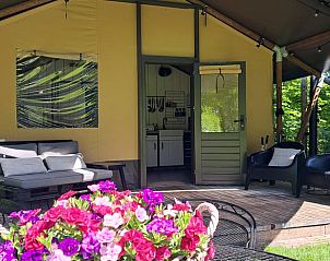 Verblijf 373156 - Vakantiewoning Midden Limburg - Vakantiehuis in Susteren