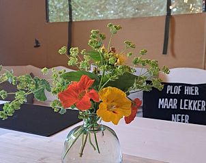Verblijf 373156 - Vakantiewoning Midden Limburg - Vakantiehuis in Susteren