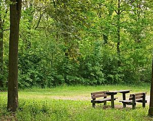Unterkunft 373501 - Ferienhaus Midden Limburg - Vakantiehuis in Herkenbosch