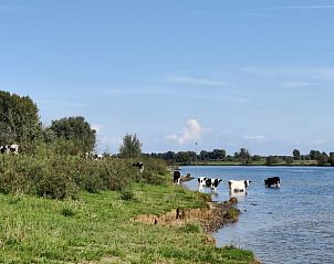 Unterkunft 373608 - Ferienhaus Midden Limburg - Vakantiehuis in Neer / Roermond