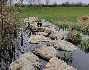 Unterkunft 373608 - Ferienhaus Midden Limburg - Vakantiehuis in Neer / Roermond